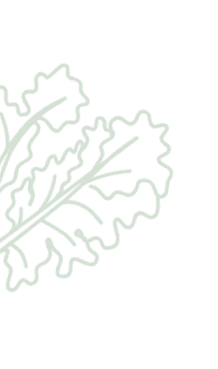 Vegetable decoration